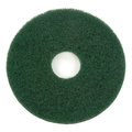 Global Industrial 13 Green Scrubbing Pad, 5PK 261163GN